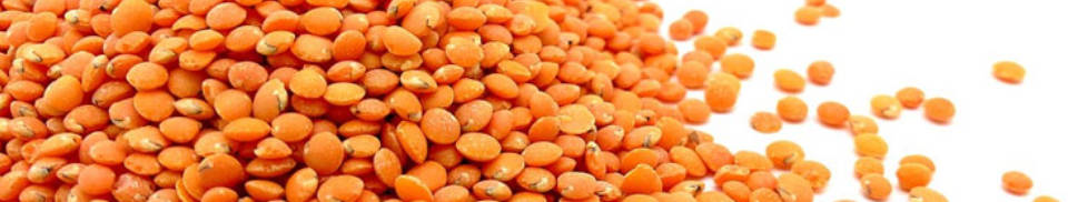 legumes are a healthy part of a diabetic diet