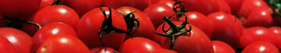 tomatoes are a healthy part of a diabetic diet